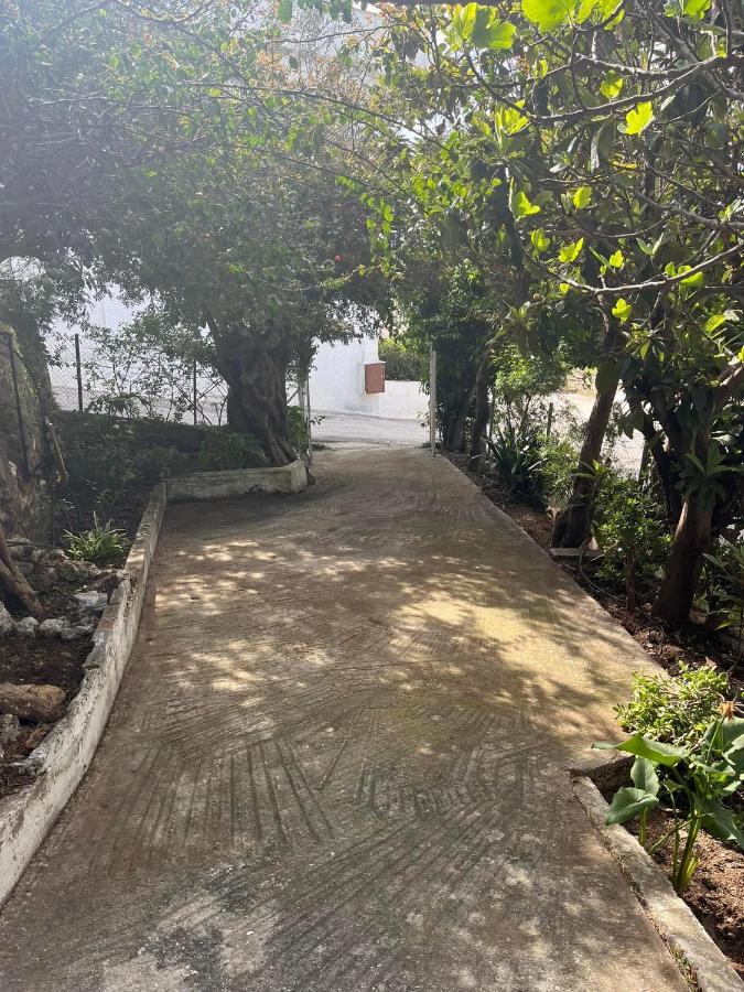 Aegean Summer House Poros Town Екстериор снимка